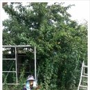 이명자농장 이미지