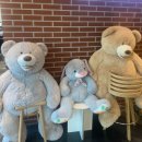 비야대정로 | 대전 근교 카페 옥천 화덕피자 맛집 오블랙 방문 후기입니다 :)