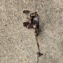 서원자동차정비 이미지