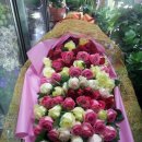 오월(5월) 1 이미지