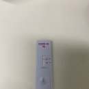 미래365연합의원 이미지