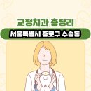 참빛치과의원 | 서울특별시 종로구 수송동 교정치과 총정리