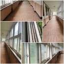 경기도 양평군 양동초등학교 | 방송 촬영지 폐교된 초교 청소후기~