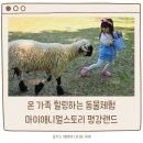 포천 데이트코스 아이랑 평강랜드 마이애니멀스토리 재방문 솔직후기