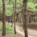 오성학교 삼거리 이미지