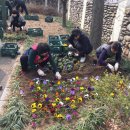 고잔1동주민센터 이미지