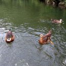 삼매봉도서관 이미지