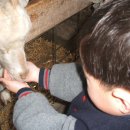 민준농장 이미지