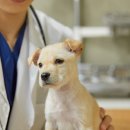 선진동물병원 이미지