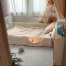 진성세탁 | 접이식바닥토퍼 추천, 예비용으로 샀다가 매일 쓰게되는 이유