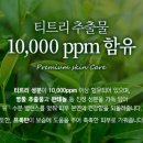 몬 피부관리