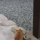 환희왕족발 이미지