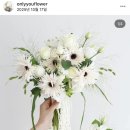 앤아워스튜디오 야외스냅 인천부케 온리유플라워 계약 솔직후기
