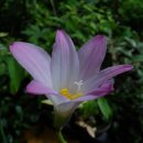 퍼팩션 - 용인시 수지구 수지로 497 | 퍼팩션