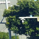 서홍사거리 이미지