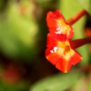 오수정사 이미지