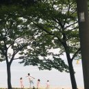 신전앵간다숲
