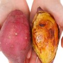 자정농장 이미지