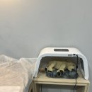 [화정 왁싱] 신부관리 필수, 겨드랑이 왁싱 첫 경험 (클겨를 향해) 만족 만족 초대만족 &#34;아나덴 왁싱...