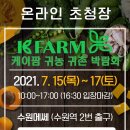 케이팜 Daum카페