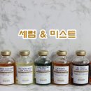 티시젠 이미지