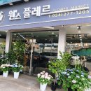원스플레르
