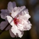 예래 본향당 이미지