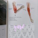 미술관에 간 해부학자 이미지