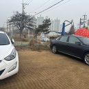 인천 딸기 체험 딸기의하루 예약 할인팁
