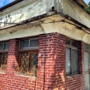 사선 막걸리 이미지