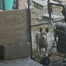 아잇푸드 | 1월을 기어코 이겨낸 자의 소회