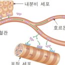 효 GYM 이미지