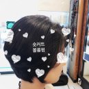 브라더헤어 이미지