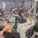 익스홀릭 가넷 이미지