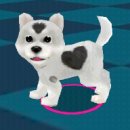 써니퍼피 이미지