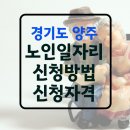 양주시니어클럽 이미지