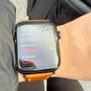 하원동-1 | 제주 한라산 윗세 오름 영실코스 등반 후기