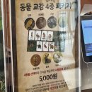 귀엽개귀엽냥 | 동탄 라크몽 주렁주렁 | 어른도 즐거운 동물원,귀여운 카피바라까지