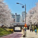 충장로 350번길 이미지