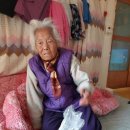 알드림 이미지