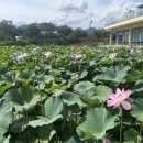 삼지수변공원 이미지