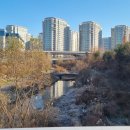 판교 통일신라~고려고분군 이미지