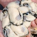 장성수산 이미지