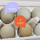 수녕김밥 이미지