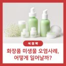기성 비소 제13호 | [화장품] 화장품 미생물 오염사례, 어떻게 일어날까?