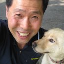 강아지와 나 이미지