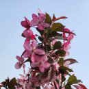 축산면사무소 이미지