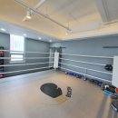 복싱의 신 이미지