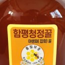 함평프로젝트원