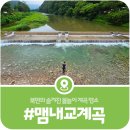 북면 소법2리 경로당 | [가평 맴내교 계곡] 아는 사람만 아는 지역의 숨은 물놀이 계곡 맴내교 일원(2026)